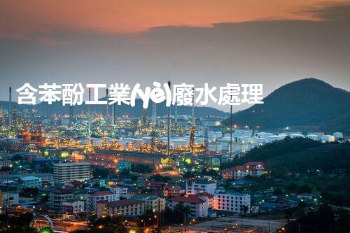 含苯酚工業(yè)廢水處理的創(chuàng)新技術(shù)與以后展望？
